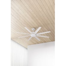 Titanic DC Ceiling Fan with LED